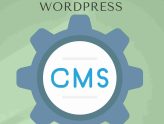 Creating a CMS in WordPress
